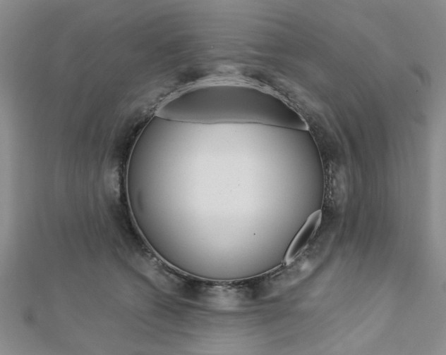 X0000113150562200909040934