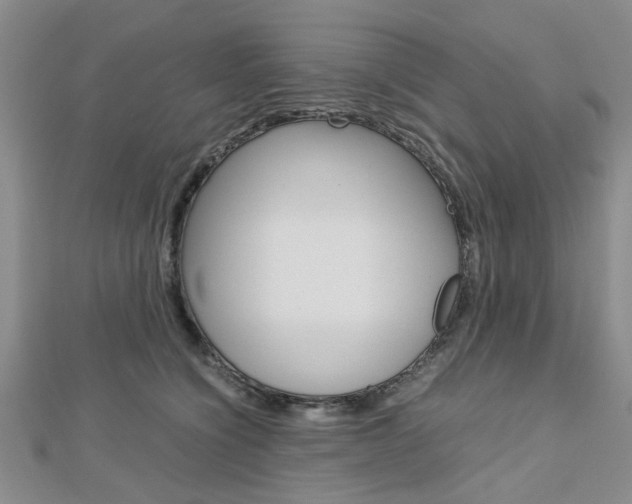 X0000113150564200909040934