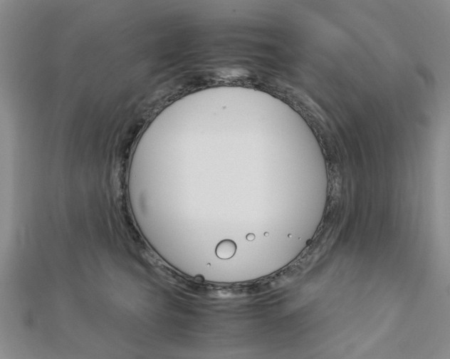 X0000113150565200909040934