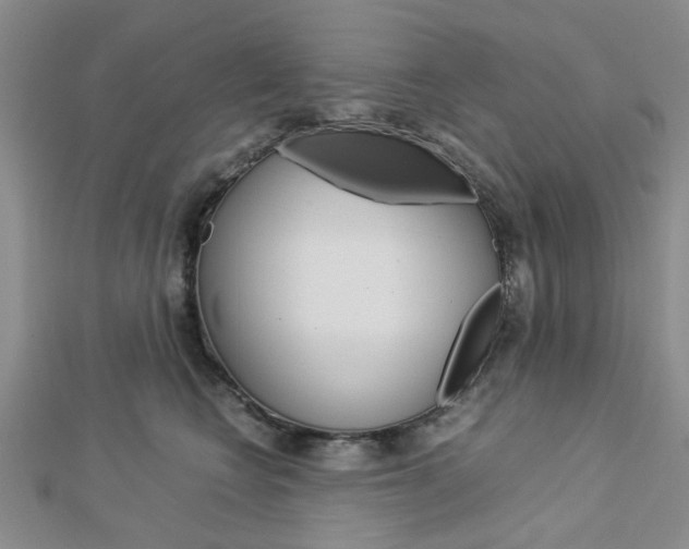 X0000113150566200909040934
