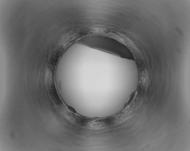 X0000113150568200909040934