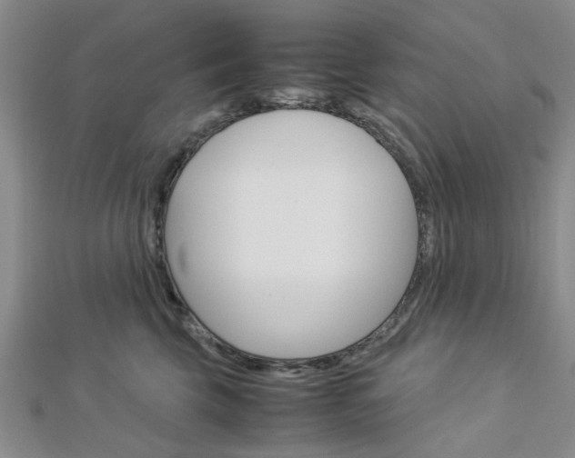 X0000113150569200909040934