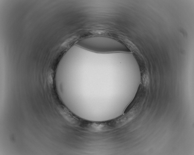 X0000113150570200909040934
