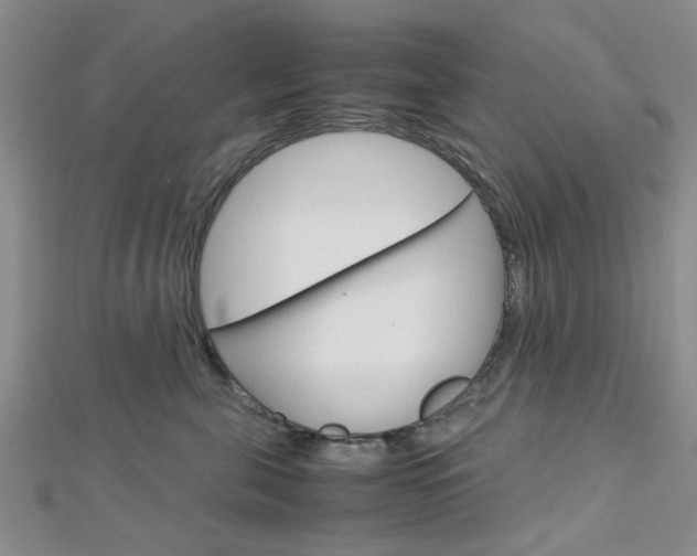 X0000113150571200909040934