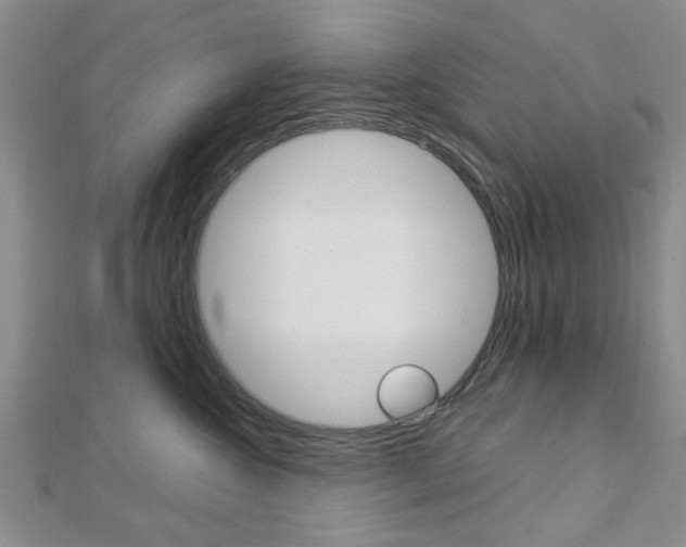 X0000113150572200909040934