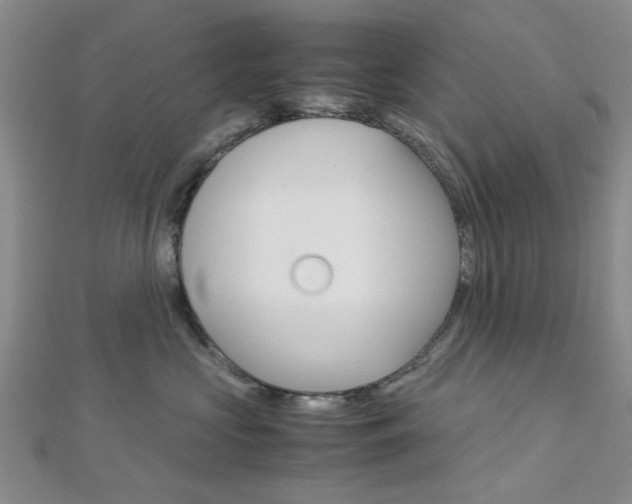 X0000113150573200909040934