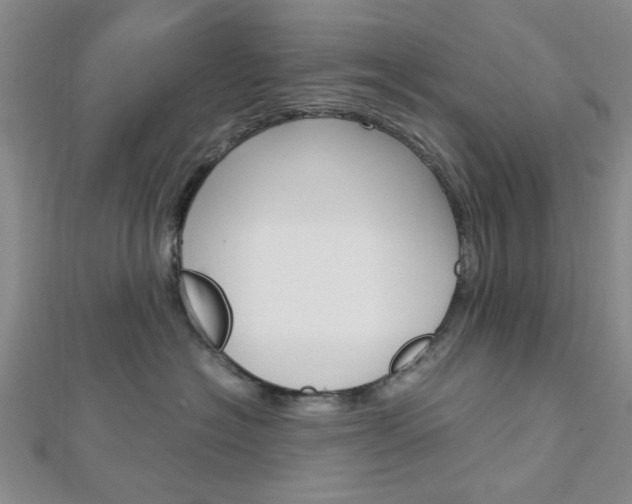 X0000113150574200909040934