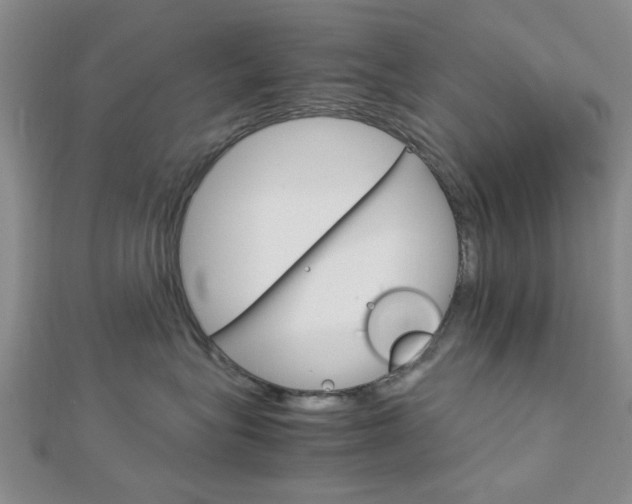 X0000113150575200909040934