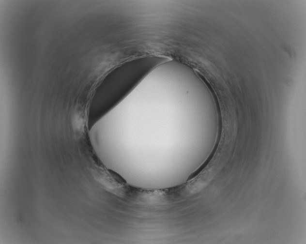 X0000113150576200909040934