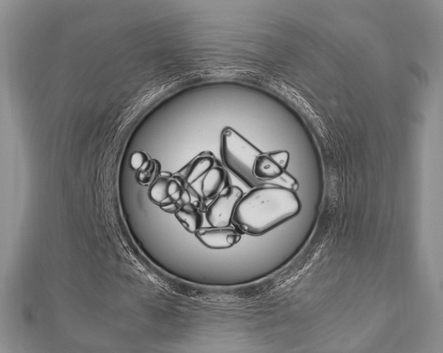 X0000113150577200909040934