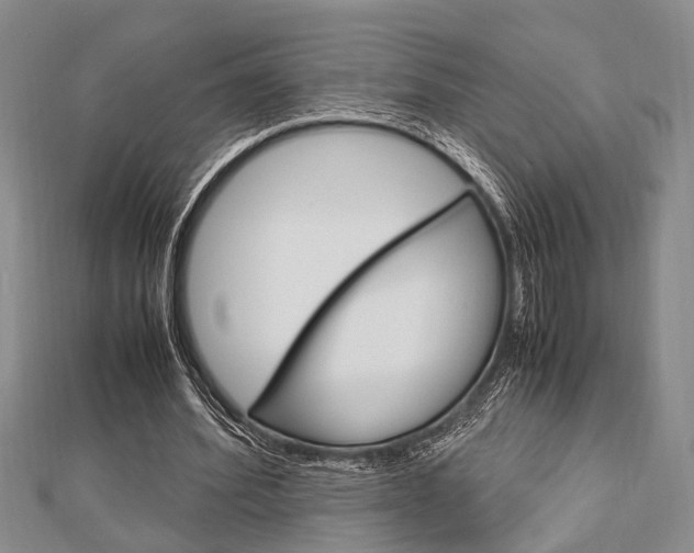 X0000113150580200909040934