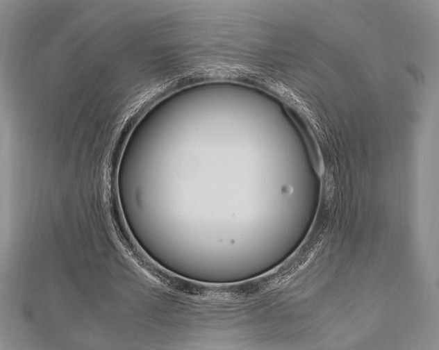 X0000113150581200909040934