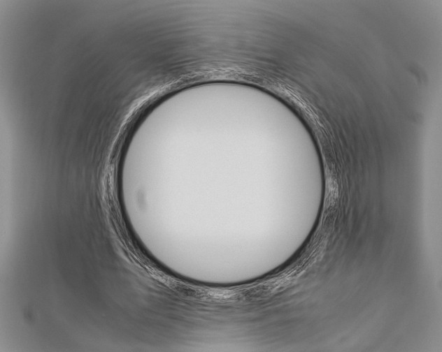 X0000113150583200909040934