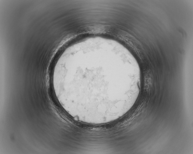 X0000113150584200909040934