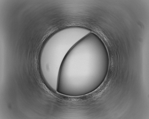 X0000113150585200909040934