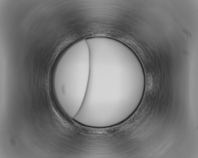 X0000113150586200909040934