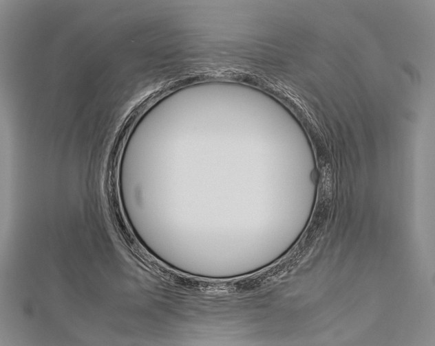 X0000113150587200909040934