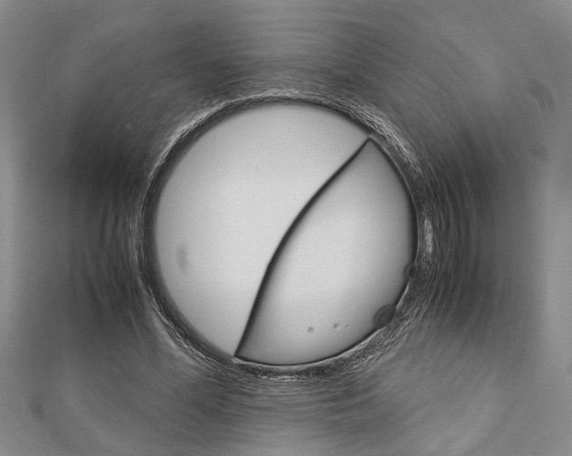 X0000113150588200909040934