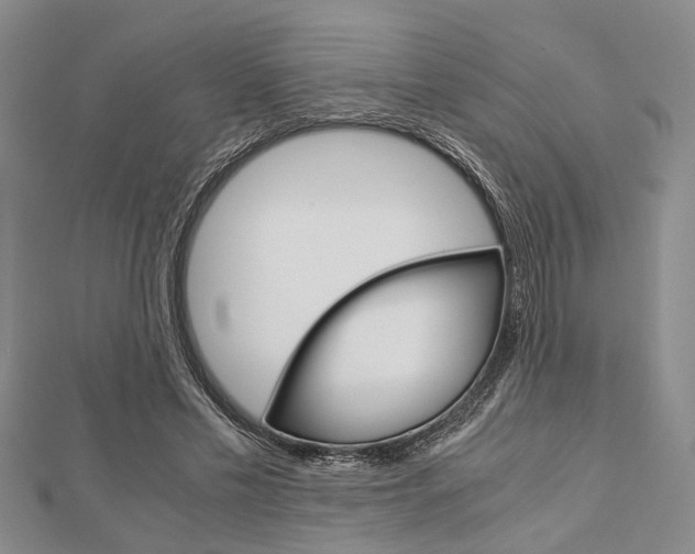 X0000113150589200909040934