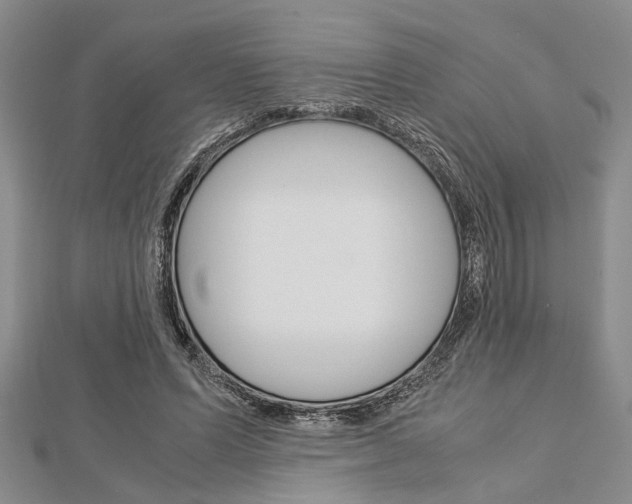X0000113150591200909040934