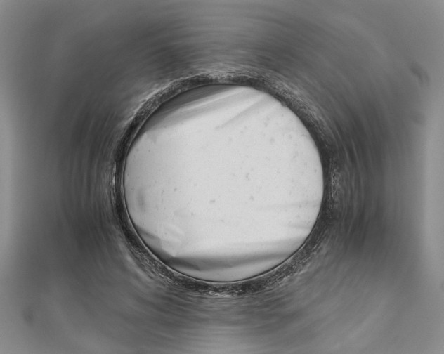 X0000113150592200909040934