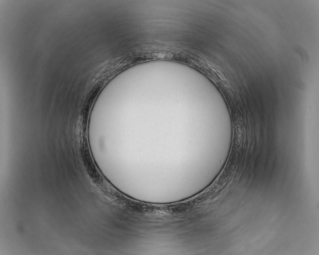 X0000113150594200909040934