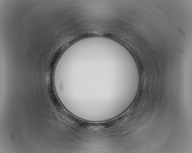 X0000113150595200909040934