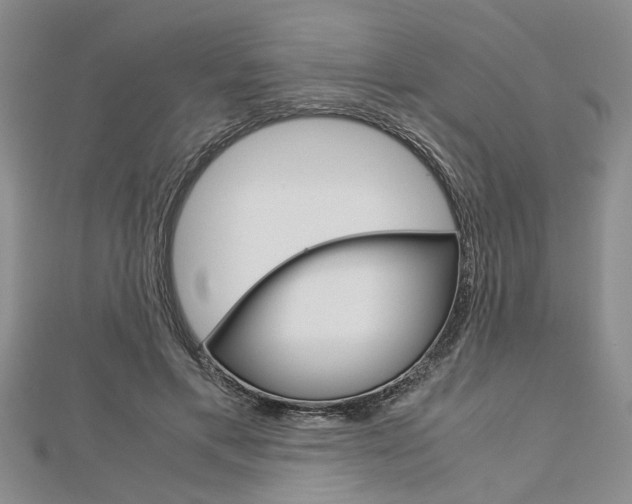 X0000113150597200909040933