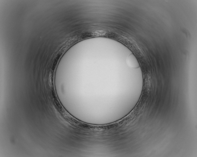 X0000113150598200909040933