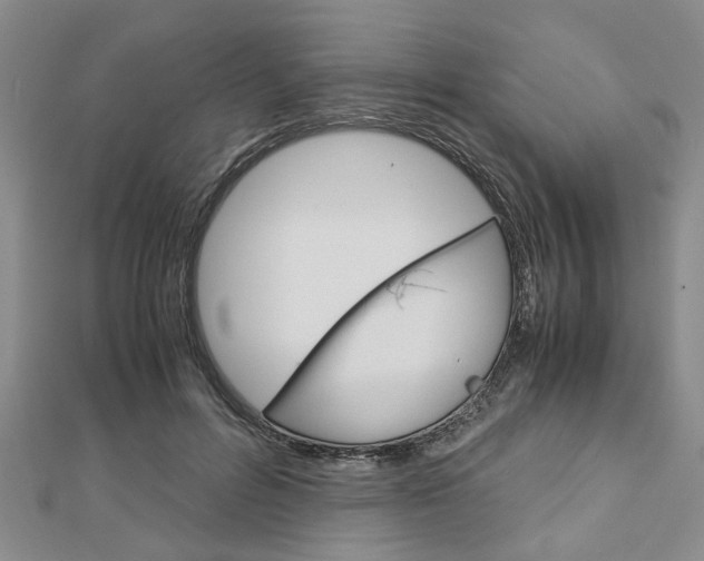 X0000113150600200909040933