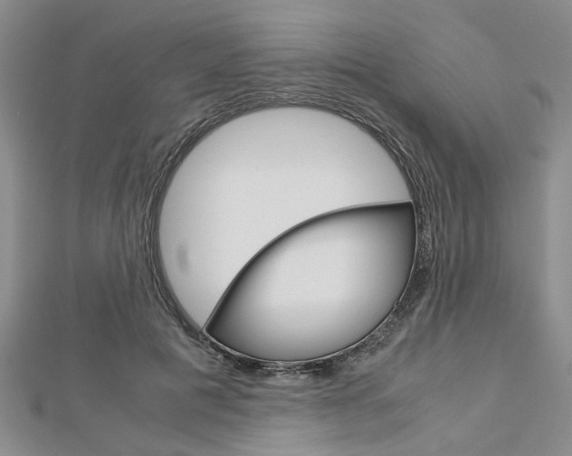 X0000113150601200909040933