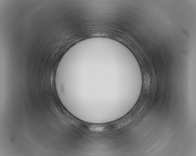 X0000113150602200909040933