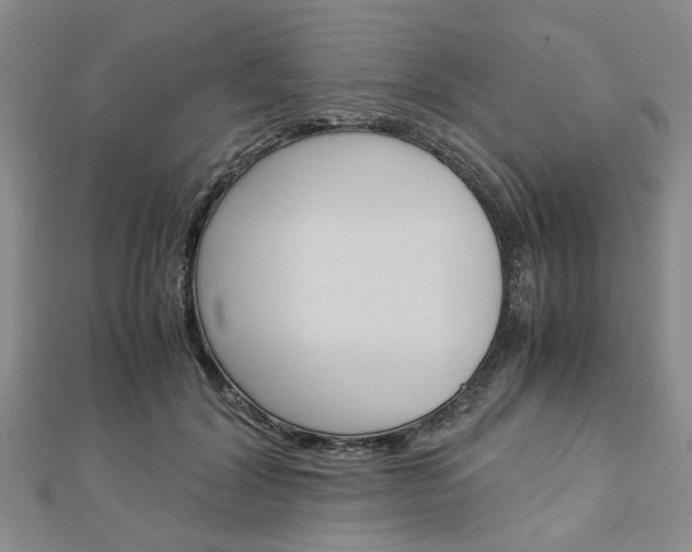 X0000113150604200909040933