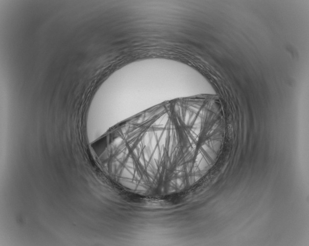 X0000113150605200909040933