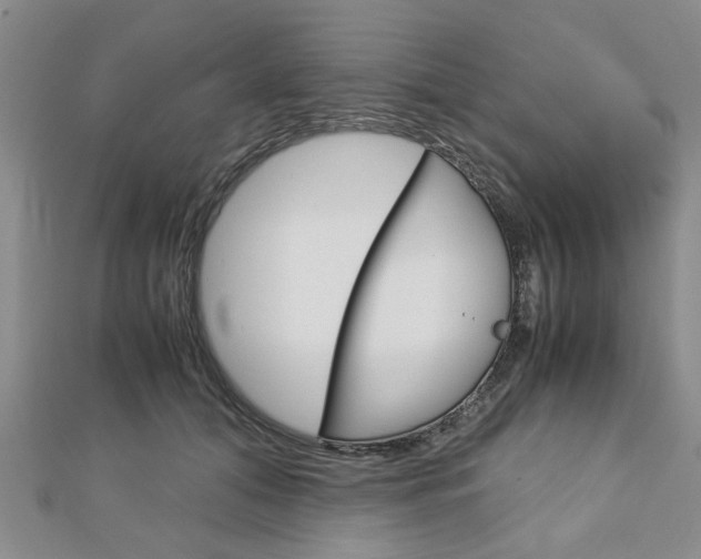 X0000113150608200909040933