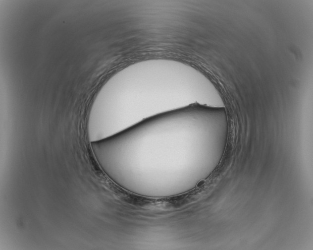 X0000113150609200909040933