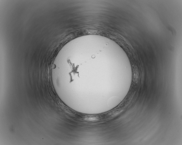 X0000113150610200909040933
