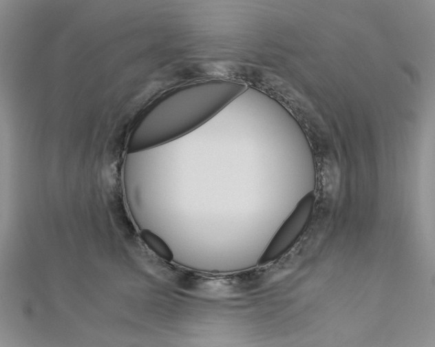 X0000113150611200909040933
