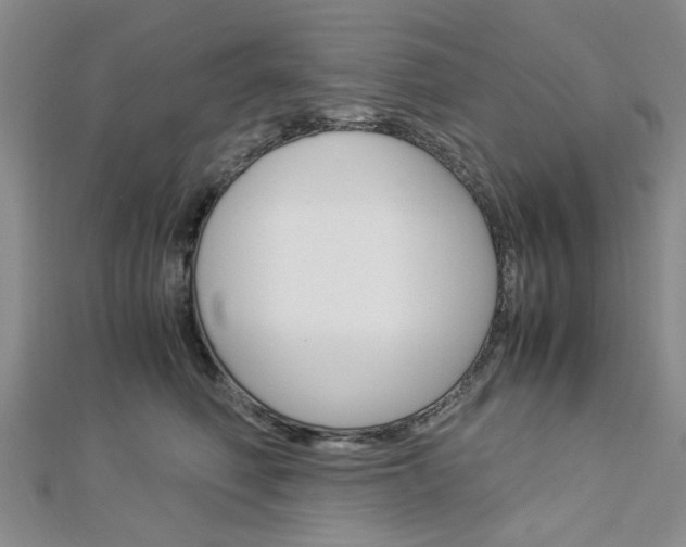 X0000113150614200909040933