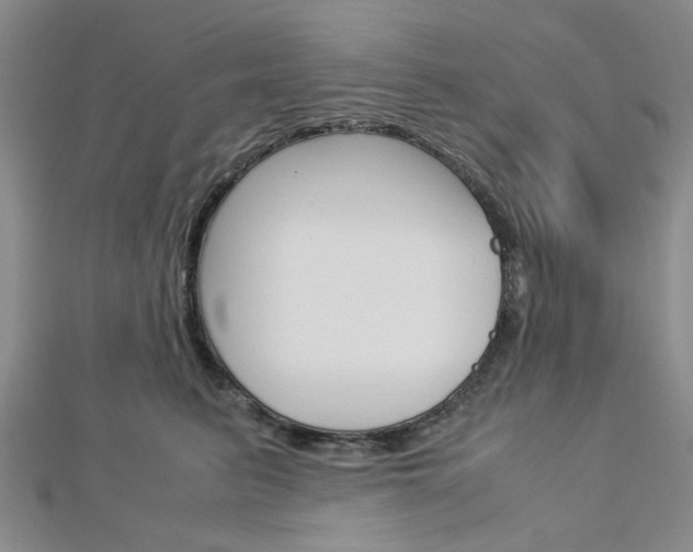 X0000113150615200909040933