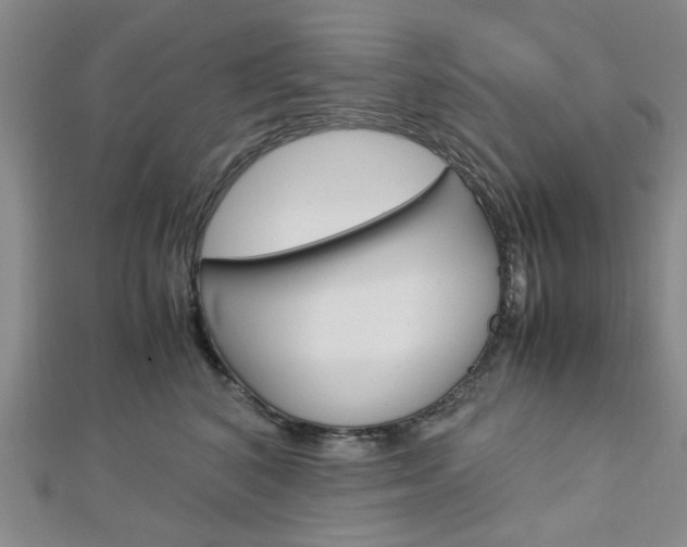 X0000113150616200909040933