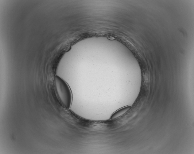 X0000113150617200909040933