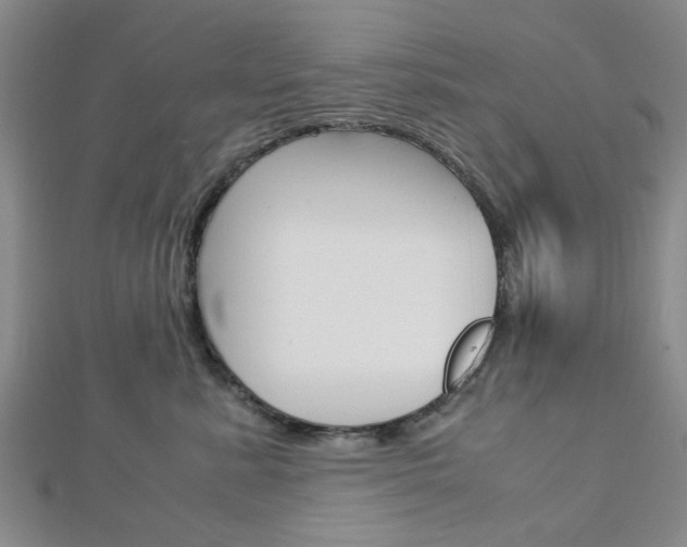 X0000113150619200909040933