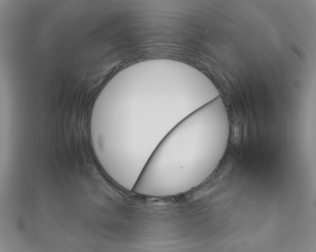 X0000113150620200909040933