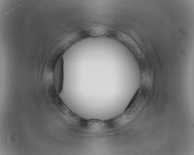 X0000113150621200909040933