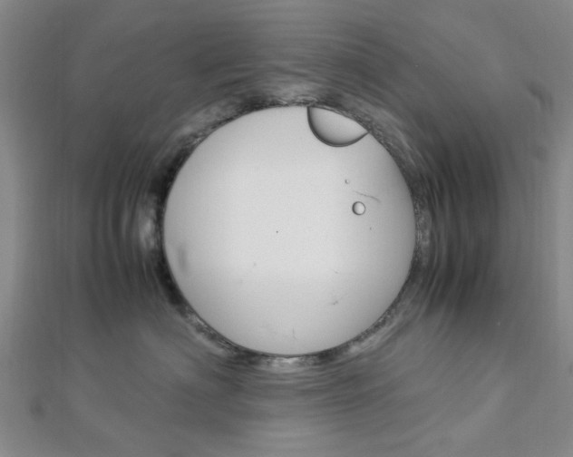 X0000113150622200909040933