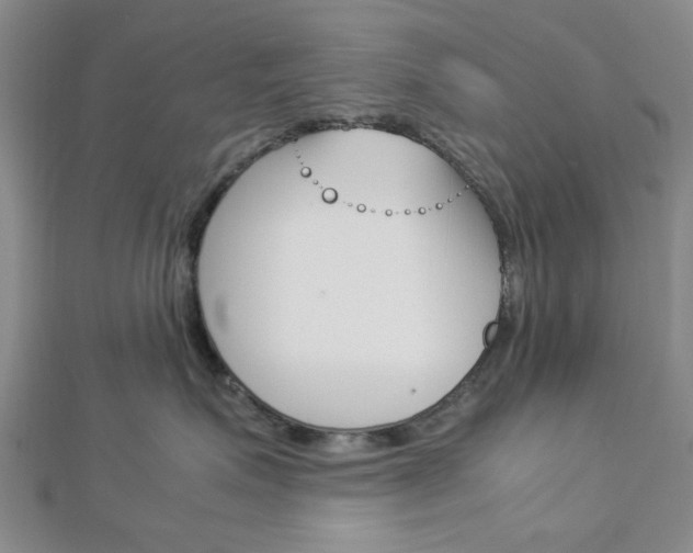 X0000113150623200909040933