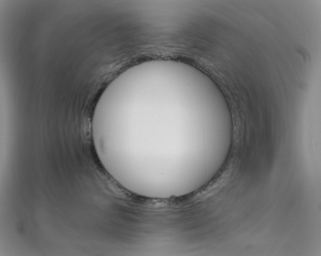 X0000113150624200909040933