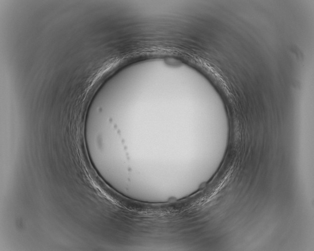 X0000113150625200909040933