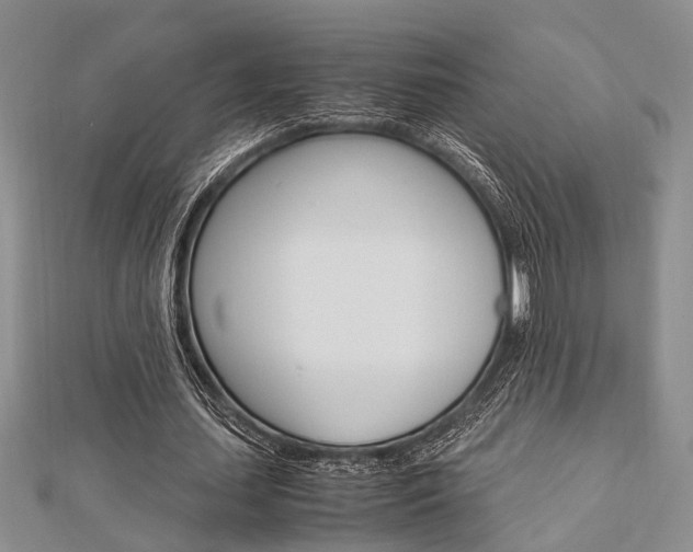 X0000113150627200909040933